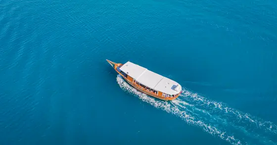 Stella del Mare — panoramska plovba ob slovenski obali (fotografija iz zraka 5)