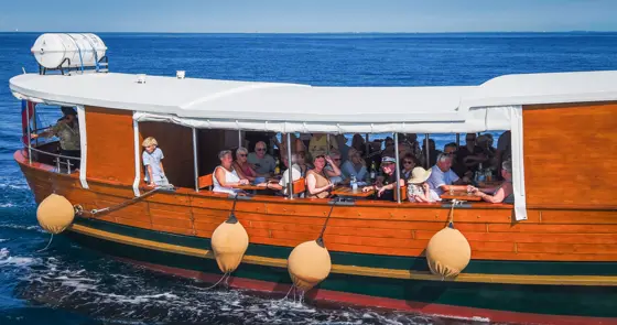 Stella del Mare — panoramska plovba ob slovenski obali (fotografija iz zraka 28)