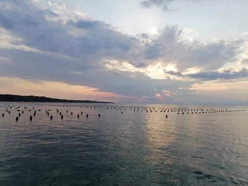 Soline in gojišča školjk ob zahodu
